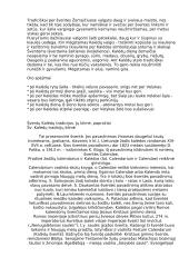 Šventų Kalėdų papročiai 4 puslapis