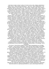 Šventų Kalėdų papročiai 6 puslapis