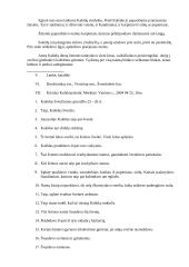 Kalėdų papročiai 14 puslapis