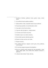 Kalėdų papročiai 18 puslapis