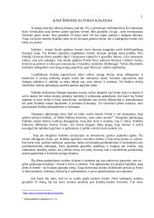 Kalėdų papročiai 3 puslapis