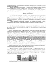 Kalėdų papročiai 7 puslapis