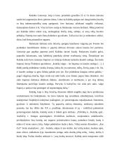 Kalėdų tradicijos  3 puslapis