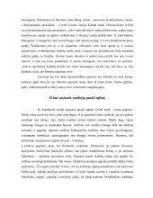 Kalėdų tradicijos  7 puslapis