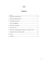 Kambarinių gėlių parinkimas gyvenamosioms patalpoms 2 puslapis