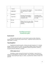 Kambarinių gėlių parinkimas gyvenamosioms patalpoms 13 puslapis