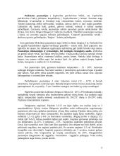 Kambarinių gėlių parinkimas gyvenamosioms patalpoms 9 puslapis