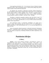 Kambarinių gėlių parinkimas gyvenamosioms patalpoms 10 puslapis