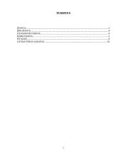 Karlo Markso filosofinės idėjos 2 puslapis