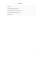 Karlo Markso požiūris 2 puslapis