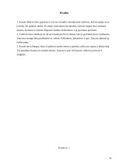 Karolis Didysis — žmogus 10 puslapis