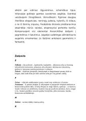 Kauno Perkūno namai 9 puslapis