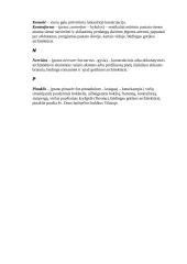 Kauno Perkūno namai 10 puslapis