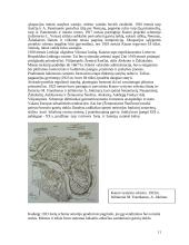 Kauno Senamiesčio mikrorajono kompozicinė analizė pagal Kevino Linčo metodą 11 puslapis