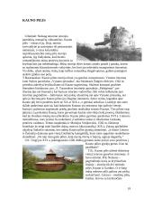 Kauno Senamiesčio mikrorajono kompozicinė analizė pagal Kevino Linčo metodą 19 puslapis