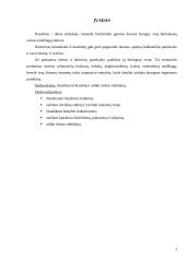 Kiaušiniai 3 puslapis