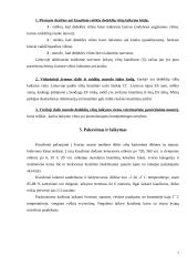 Kiaušiniai 8 puslapis