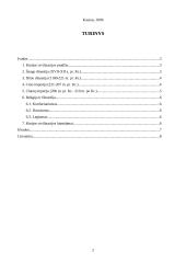 Kinijos civilizacija 2 puslapis