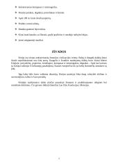 Kinijos civilizacija 7 puslapis