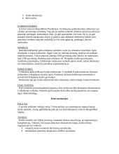 Klaipėdos autonomija 2 puslapis