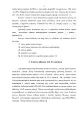 Klimato kitimas 3 puslapis