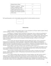 Knygų leidyba 11 puslapis