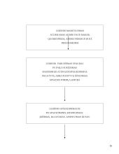 Knygų leidyba 15 puslapis