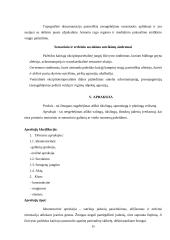 Kognifikacinės funkcijos ir neurologiniai sutrikimai 15 puslapis