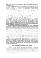 Kompiuterinė grafika (referatas) 4 puslapis