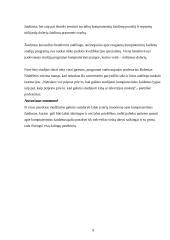 Kompiuteriniai žaidimai 9 puslapis