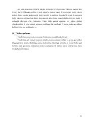 Kompiuterinio grafinio modeliavimo programa "3ds Max" 11 puslapis