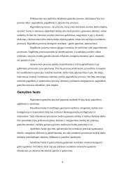 Kompleksinio gamybinio proceso analizė 2 puslapis