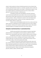 Kompleksinio gamybinio proceso analizė 4 puslapis