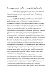 Kompleksinio gamybinio proceso analizė 5 puslapis