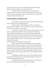 Kompleksinio gamybinio proceso analizė 6 puslapis