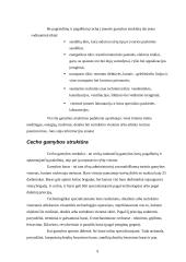 Kompleksinio gamybinio proceso analizė 7 puslapis