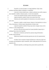 Koplytėlės 7 puslapis