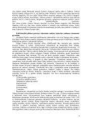 Krikščionybės atsiradimas ir plitimas 3 puslapis