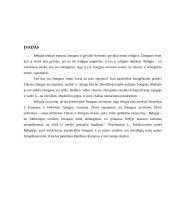 Krikščionybės teorija: tikėjimas ir protas 2 puslapis