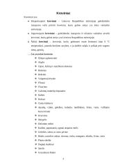 Krovinių vežimas geležinkelio transportu 3 puslapis