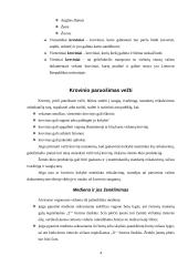 Krovinių vežimas geležinkelio transportu 4 puslapis