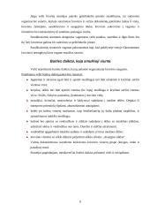 Krovinių vežimas geležinkelio transportu 6 puslapis