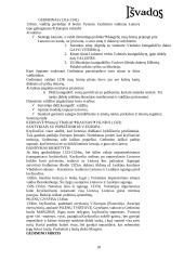 Kunigaikštis Gediminas 17 puslapis