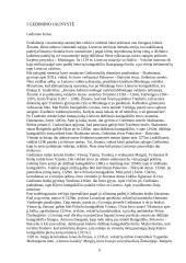 Kunigaikštis Gediminas 5 puslapis