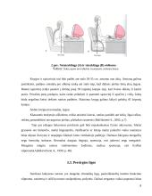 Kūno laikysenos sutrikimai 7 puslapis
