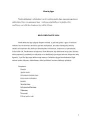 Kvėpavimo organų infekcinės ligos. Rūkymas 3 puslapis