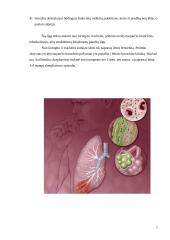 Kvėpavimo organų infekcinės ligos. Rūkymas 7 puslapis