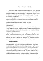 Kvėpavimo organų infekcinės ligos. Rūkymas 10 puslapis