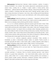 Kvėpavimo organų patologija 11 puslapis