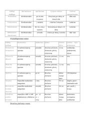 Kvėpavimo organų patologija 19 puslapis